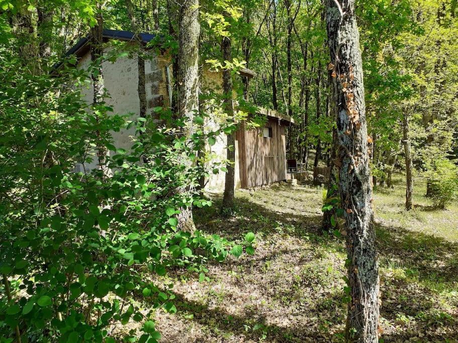 Le Gite De La Cabane De L'Oiseau Couze-et-Saint-Front المظهر الخارجي الصورة